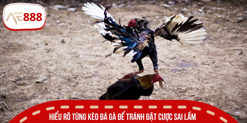 Tổng hợp một vài kèo cần biết khi cược